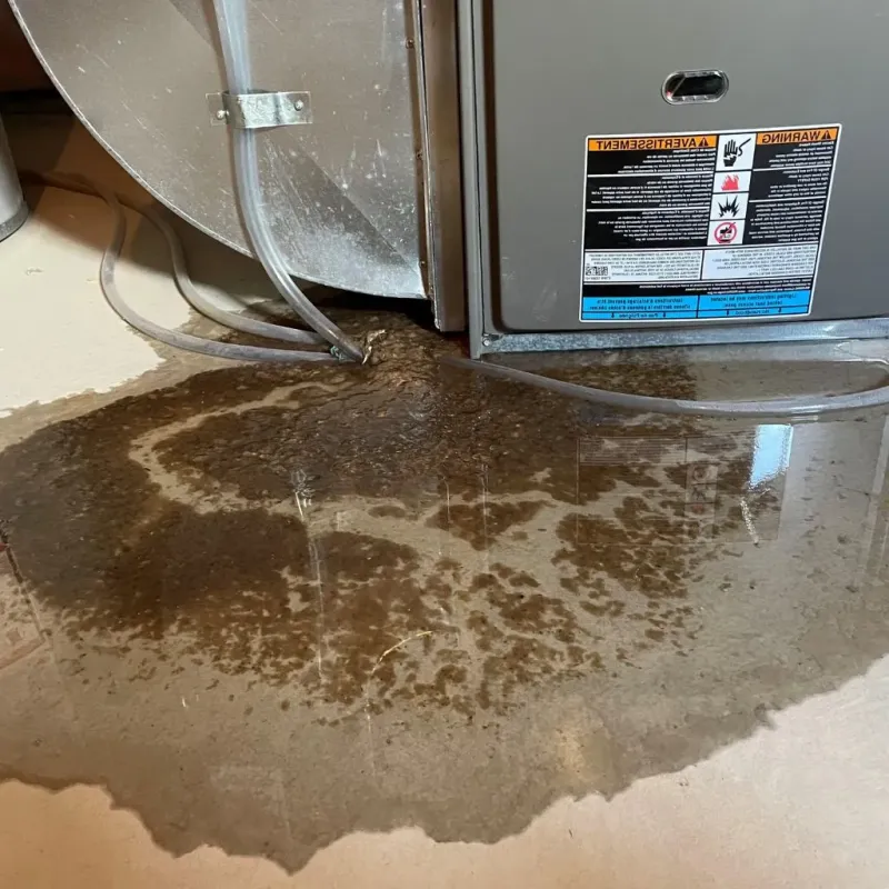 Pipe Burst and Leak Restoration in Leicester, VT